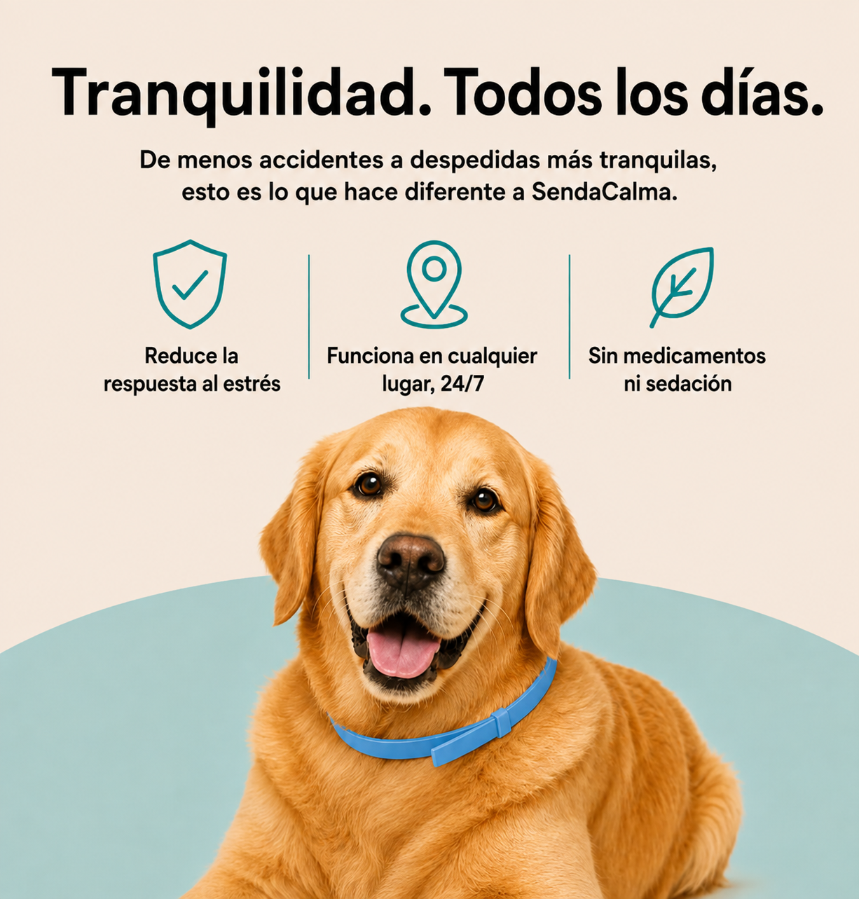 Collar calmante SendaCalma de doble feromona: alivio de la ansiedad sin medicamentos.