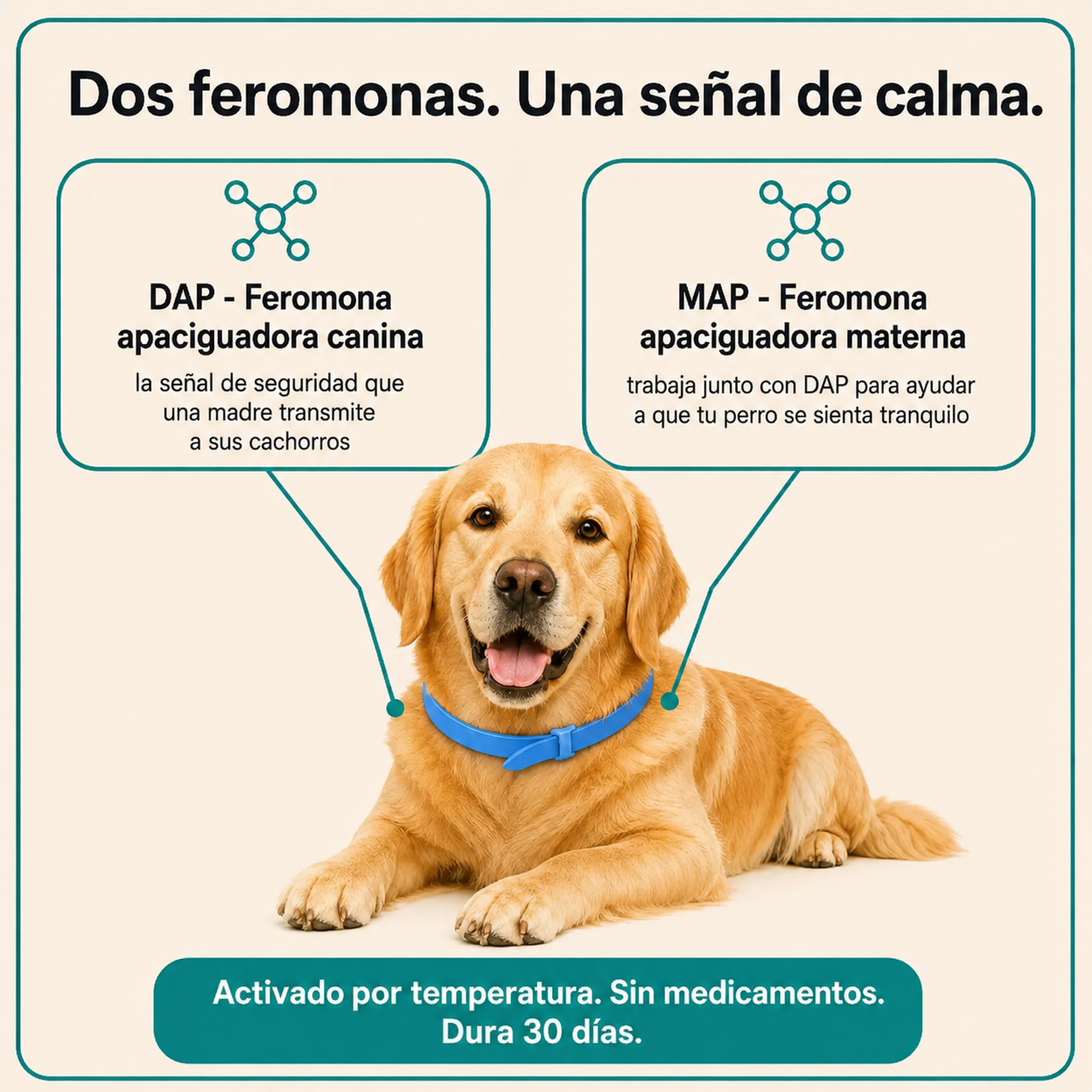 Collar calmante SendaCalma de doble feromona: alivio de la ansiedad sin medicamentos.